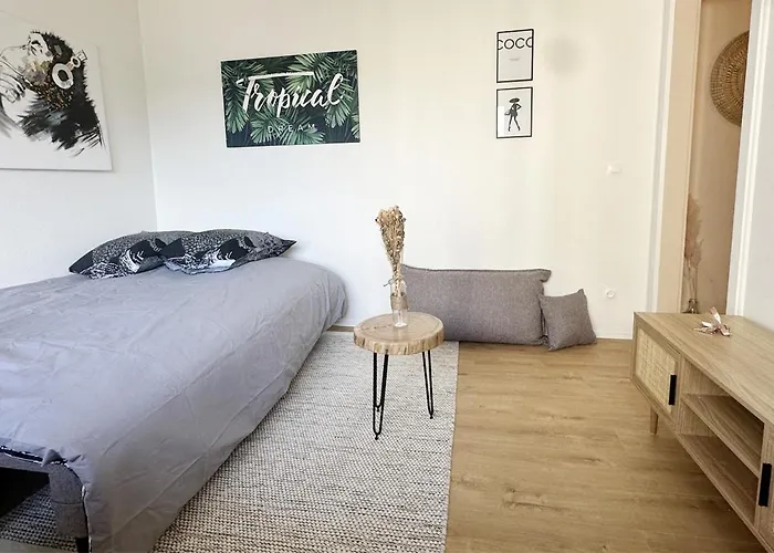 Apartament Le Nid - Strasburg