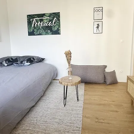 Apartment Le Nid - Strasbourg